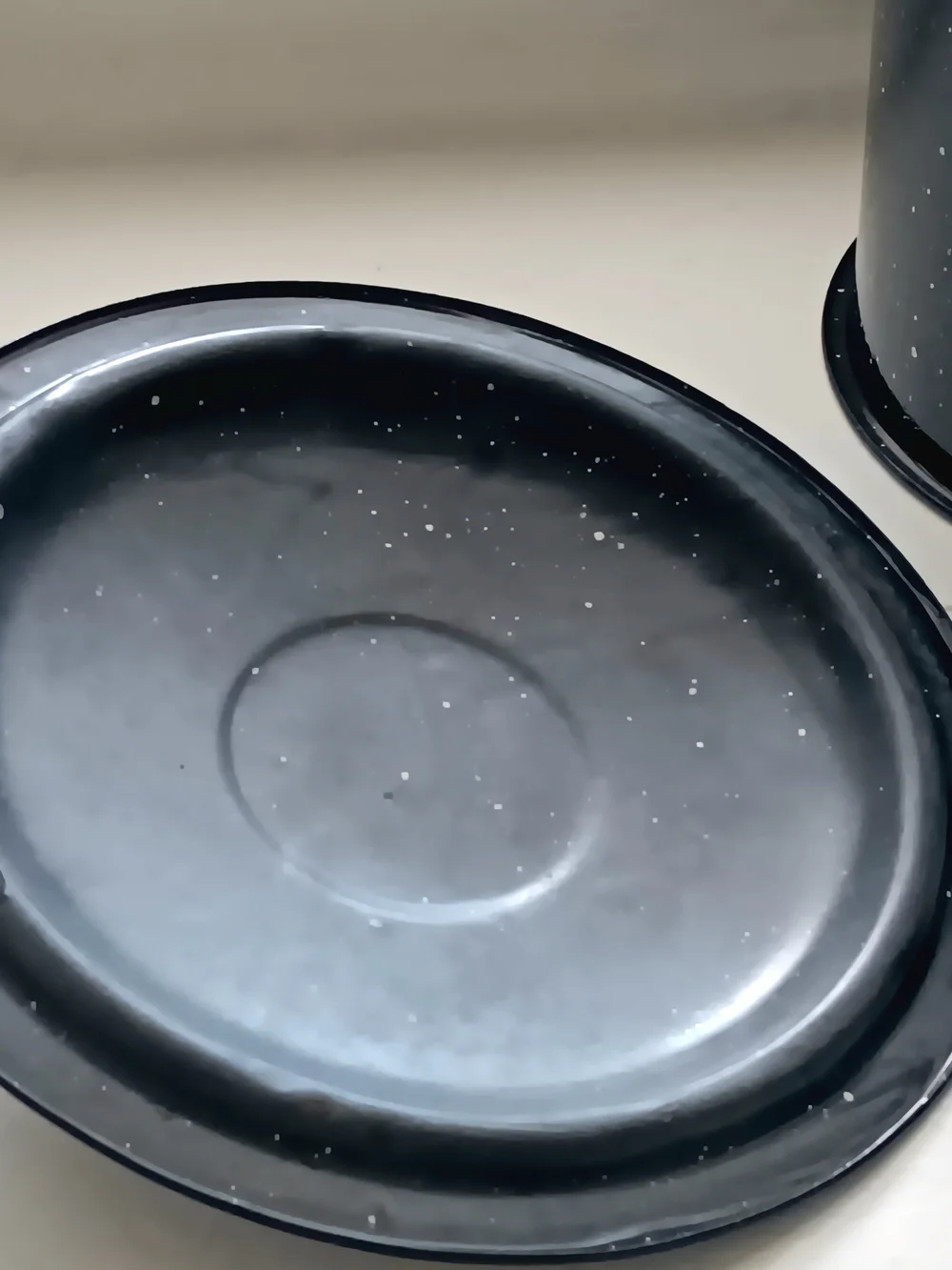 Enamel Speckled Black Stockpot and Roasting Pan Set - Black